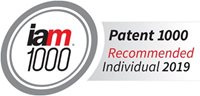 iam Patent 1000 Recommended Individual 2019